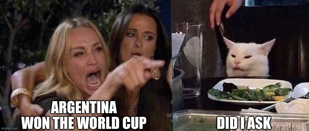 World Cup | ARGENTINA WON THE WORLD CUP; DID I ASK | image tagged in woman yelling at cat | made w/ Imgflip meme maker