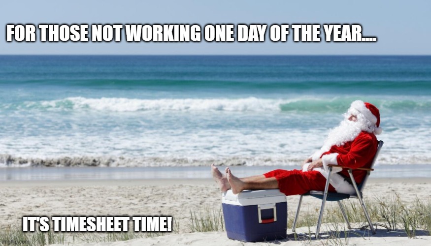 Santa timesheet reminder | FOR THOSE NOT WORKING ONE DAY OF THE YEAR.... IT'S TIMESHEET TIME! | image tagged in santa timesheet reminder,timesheet meme,timesheet,funny meme | made w/ Imgflip meme maker