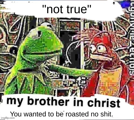 My brother in Christ | "not true" You wanted to be roasted no shit. | image tagged in my brother in christ | made w/ Imgflip meme maker