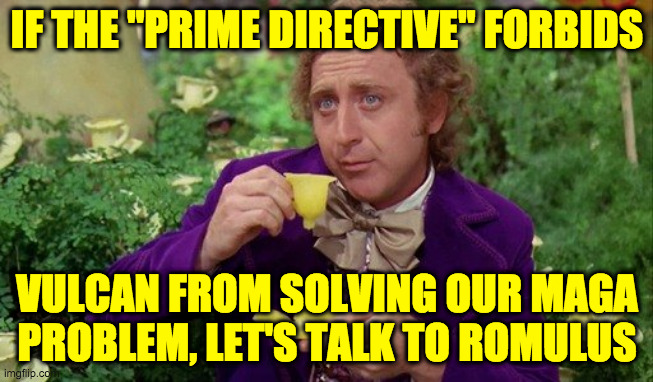 "What have we got to lose?" | IF THE "PRIME DIRECTIVE" FORBIDS; VULCAN FROM SOLVING OUR MAGA
PROBLEM, LET'S TALK TO ROMULUS | image tagged in willie wonka,memes,maga,prime directive overrated | made w/ Imgflip meme maker