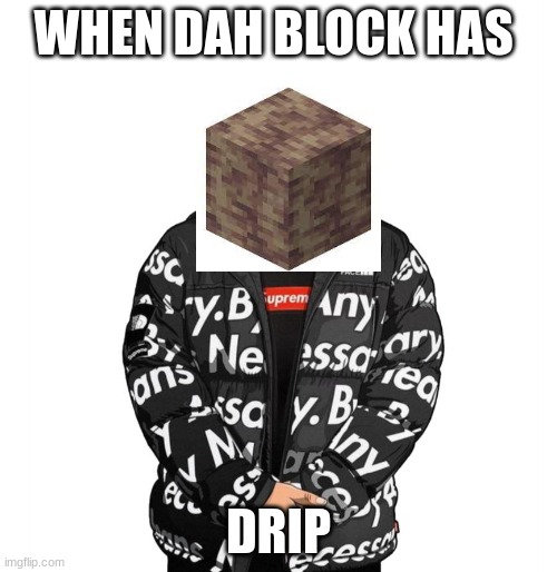 sorry I had to | WHEN DAH BLOCK HAS; DRIP | image tagged in goku drip,puns,minecraft | made w/ Imgflip meme maker