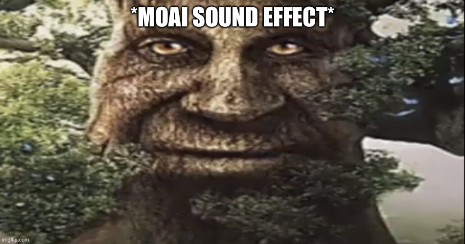 Wise mystical tree | *MOAI SOUND EFFECT* | image tagged in wise mystical tree,moai | made w/ Imgflip meme maker