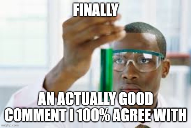 FINALLY | FINALLY AN ACTUALLY GOOD COMMENT I 100% AGREE WITH | image tagged in finally | made w/ Imgflip meme maker