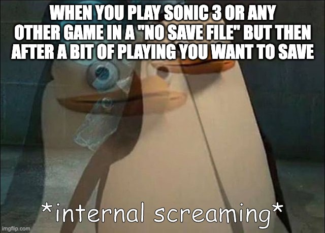 No save :( | WHEN YOU PLAY SONIC 3 OR ANY OTHER GAME IN A "NO SAVE FILE" BUT THEN AFTER A BIT OF PLAYING YOU WANT TO SAVE | image tagged in private internal screaming | made w/ Imgflip meme maker