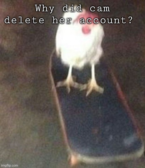 Whada fuck | Why did cam delete her account? | image tagged in dog on skateboard | made w/ Imgflip meme maker