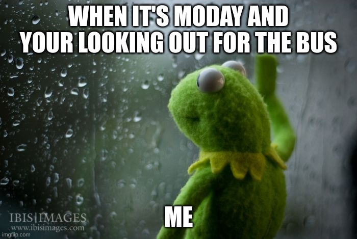 modays suuuuuck | WHEN IT'S MODAY AND YOUR LOOKING OUT FOR THE BUS; ME | image tagged in kermit window,kermit the frog | made w/ Imgflip meme maker