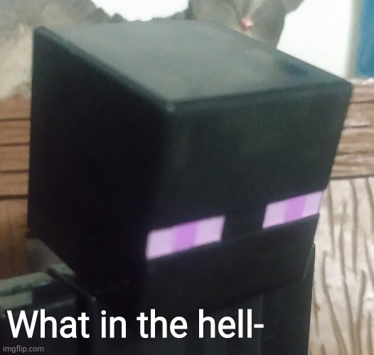Enderman stare | What in the hell- | image tagged in enderman stare | made w/ Imgflip meme maker
