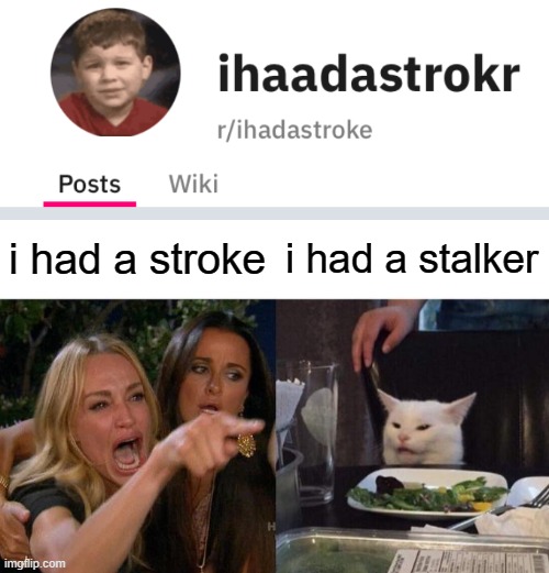 i had a stroke; i had a stalker | image tagged in ihaadstrokr,memes,woman yelling at cat | made w/ Imgflip meme maker