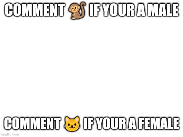 Trying some trends (If this was ever a trend or not) | COMMENT 🐒 IF YOUR A MALE; COMMENT 🐱 IF YOUR A FEMALE | made w/ Imgflip meme maker