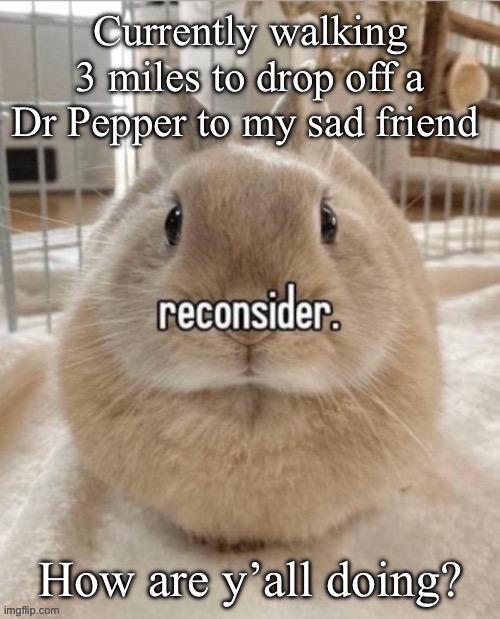 Good afternoon | Currently walking 3 miles to drop off a Dr Pepper to my sad friend; How are y’all doing? | image tagged in reconsider | made w/ Imgflip meme maker