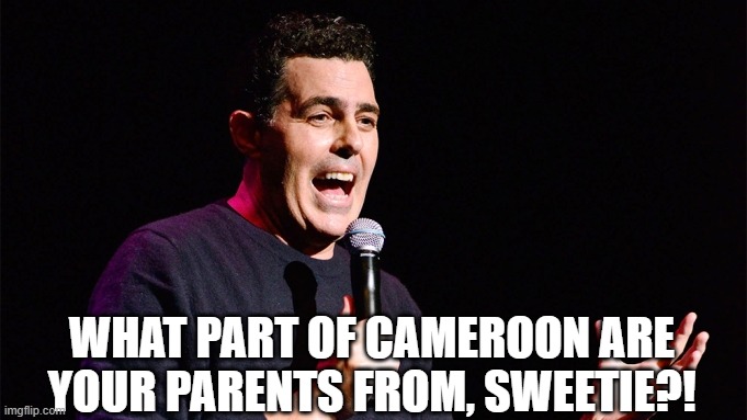 Adam Carolla stand up | WHAT PART OF CAMEROON ARE YOUR PARENTS FROM, SWEETIE?! | image tagged in adam carolla stand up | made w/ Imgflip meme maker