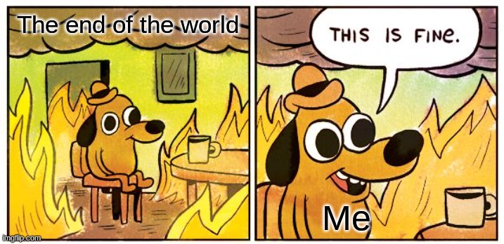 This Is Fine | The end of the world; Me | image tagged in memes,this is fine | made w/ Imgflip meme maker