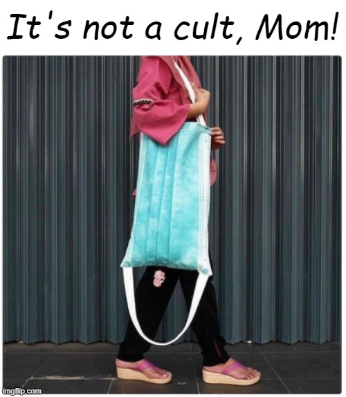 My purse protects all the other purses | It's not a cult, Mom! | made w/ Imgflip meme maker