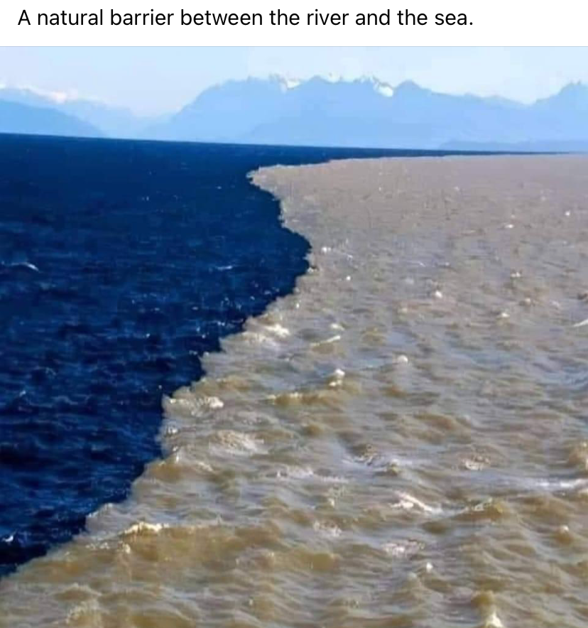 High Quality River meets sea Blank Meme Template