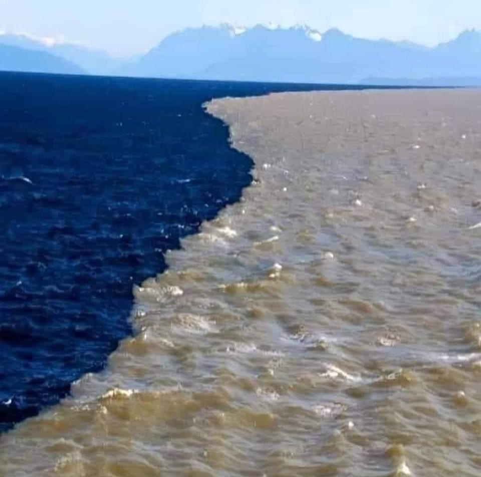 High Quality River meets sea Blank Meme Template