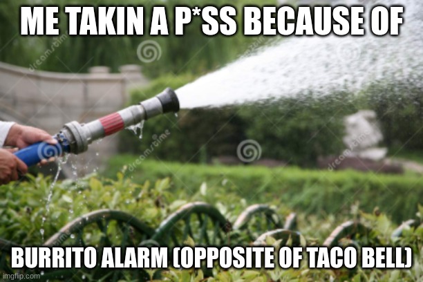 u goona repost or what? | ME TAKIN A P*SS BECAUSE OF; BURRITO ALARM (OPPOSITE OF TACO BELL) | image tagged in pee | made w/ Imgflip meme maker