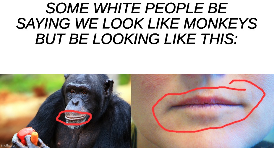 plus they are way more prone to getting lice... | SOME WHITE PEOPLE BE SAYING WE LOOK LIKE MONKEYS BUT BE LOOKING LIKE THIS: | made w/ Imgflip meme maker