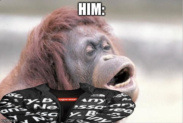 Monkey OOH Meme | HIM: | image tagged in memes,monkey ooh | made w/ Imgflip meme maker