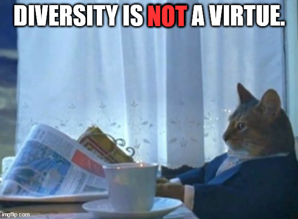 Nothing is positive is gained by constant representation of select races or sexual identities in the media. | DIVERSITY IS NOT A VIRTUE. NOT | image tagged in group think,division,collectivism,marxism | made w/ Imgflip meme maker