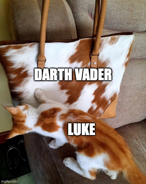 He's more baggy now than kitty... | DARTH VADER; LUKE | image tagged in star wars | made w/ Imgflip meme maker