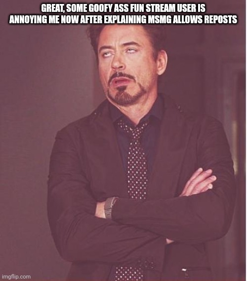 See why I hate this site? | GREAT, SOME GOOFY ASS FUN STREAM USER IS ANNOYING ME NOW AFTER EXPLAINING MSMG ALLOWS REPOSTS | image tagged in memes,face you make robert downey jr | made w/ Imgflip meme maker