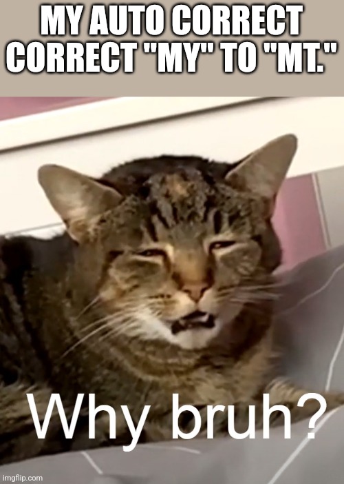 why bruh? | MY AUTO CORRECT CORRECT "MY" TO "MT." | image tagged in why bruh | made w/ Imgflip meme maker