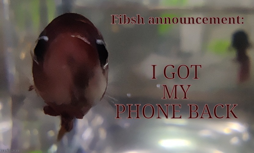 Fibsh | I GOT MY PHONE BACK | image tagged in fibsh | made w/ Imgflip meme maker