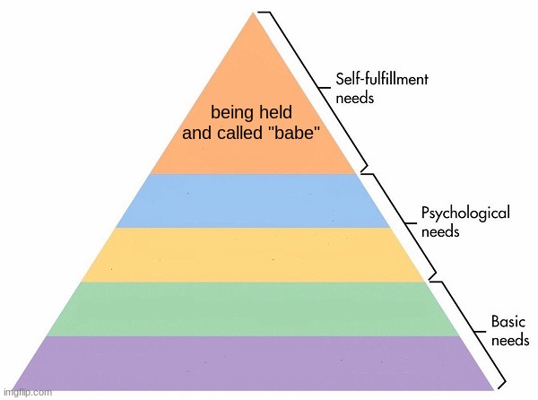 no bitches gang, who's with me | being held and called "babe" | image tagged in maslow's hierarchy of needs | made w/ Imgflip meme maker