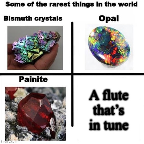 True | A flute that’s in tune | image tagged in some of the rarest things in the world | made w/ Imgflip meme maker