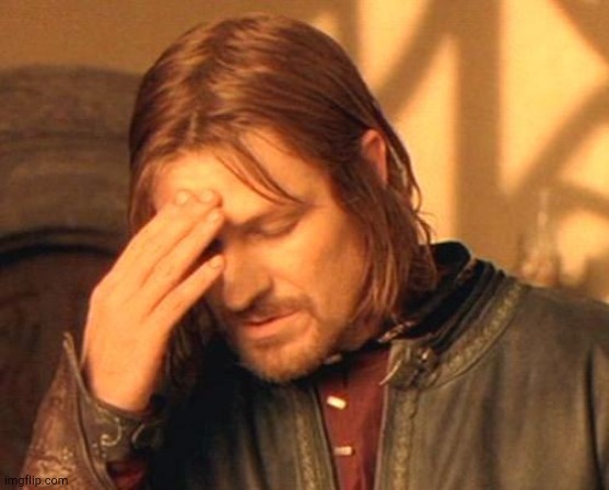 Frustrated Boromir | image tagged in frustrated boromir | made w/ Imgflip meme maker