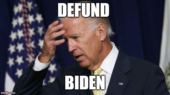 Joe Biden worries | DEFUND; BIDEN | image tagged in joe biden worries | made w/ Imgflip meme maker