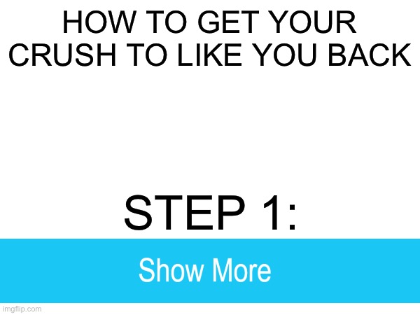 (Insert clever name here) | HOW TO GET YOUR CRUSH TO LIKE YOU BACK; STEP 1: | image tagged in bruh,seriously,idk | made w/ Imgflip meme maker