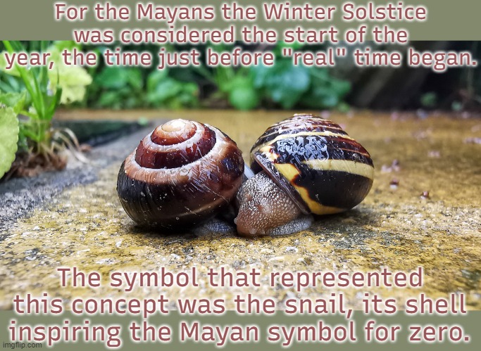 Happy New Year! | For the Mayans the Winter Solstice was considered the start of the year, the time just before "real" time began. The symbol that represented this concept was the snail, its shell inspiring the Mayan symbol for zero. | image tagged in even snails need a hug,animal,culture,history,native american,calendar | made w/ Imgflip meme maker