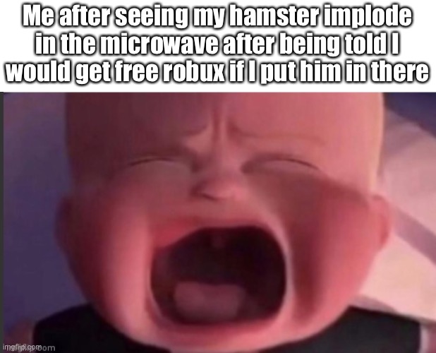 Image Title | Me after seeing my hamster implode in the microwave after being told I would get free robux if I put him in there | made w/ Imgflip meme maker