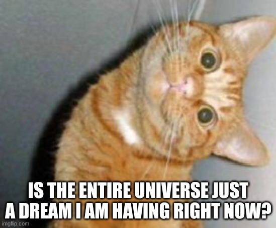 ㅇㅅㅇ | IS THE ENTIRE UNIVERSE JUST A DREAM I AM HAVING RIGHT NOW? | image tagged in cat has a question | made w/ Imgflip meme maker