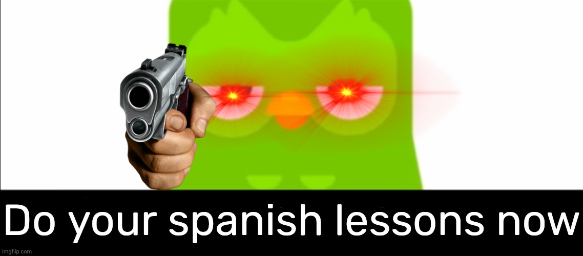 Duolingo was unimpressed | Do your spanish lessons now | image tagged in duolingo was unimpressed | made w/ Imgflip meme maker