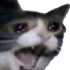 High Quality Scream Cat Blank Meme Template