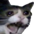 Scream Cat Meme Template