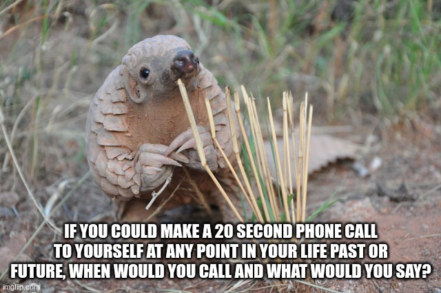 Pondering Pangolin  | IF YOU COULD MAKE A 20 SECOND PHONE CALL TO YOURSELF AT ANY POINT IN YOUR LIFE PAST OR FUTURE, WHEN WOULD YOU CALL AND WHAT WOULD YOU SAY? | image tagged in pondering pangolin | made w/ Imgflip meme maker