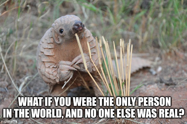 What if? | WHAT IF YOU WERE THE ONLY PERSON IN THE WORLD, AND NO ONE ELSE WAS REAL? | image tagged in pondering pangolin | made w/ Imgflip meme maker