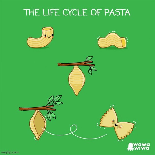 image tagged in pasta,caterpillar,butterfly | made w/ Imgflip meme maker
