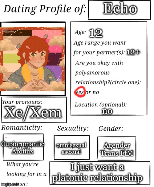 Dating profile | Echo; 12; 12+; Xe/Xem; no; Cupioromantic
Aroflux; Agender
Trans FtM; omnisexual
asexual; I just want a platonic relationship | image tagged in dating profile | made w/ Imgflip meme maker