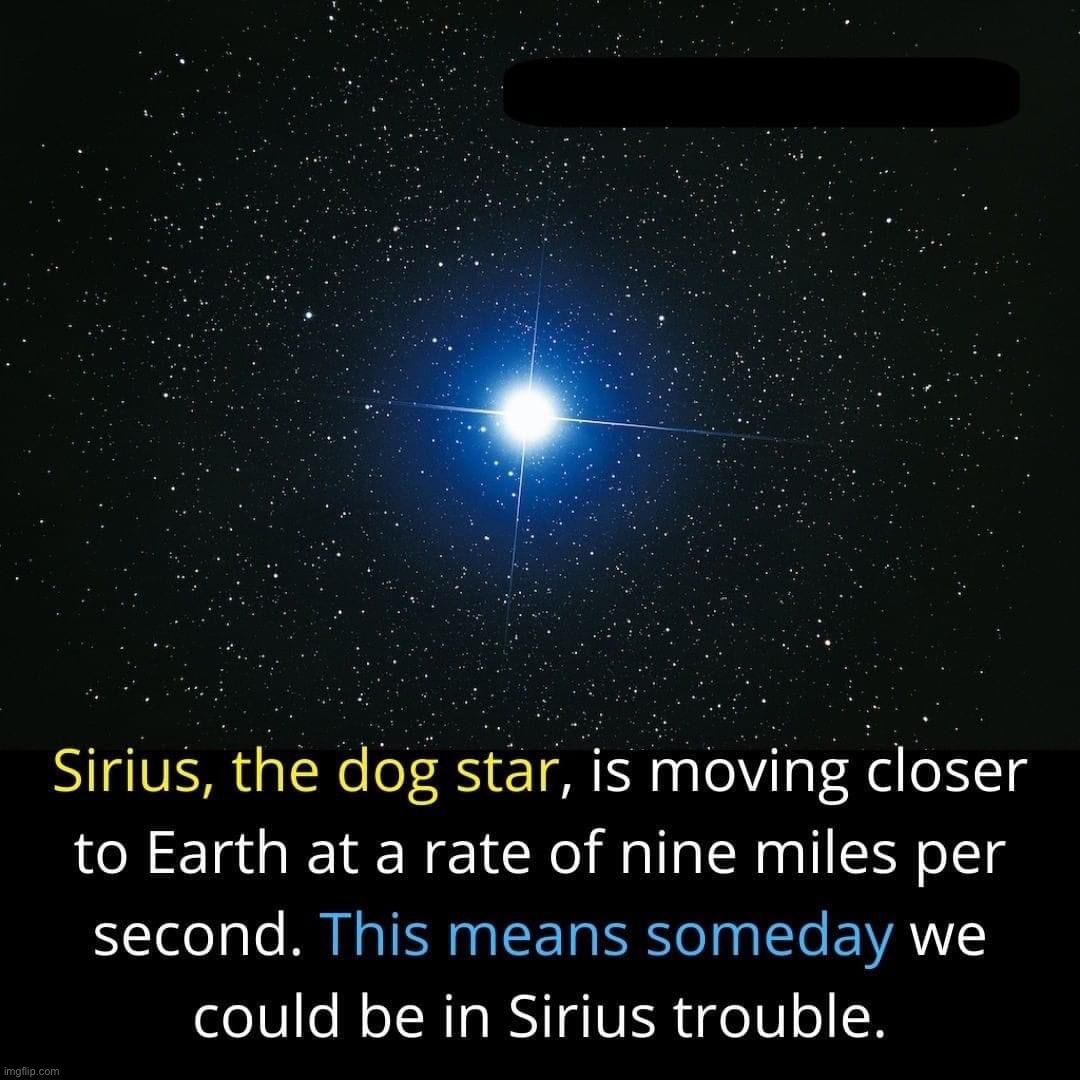 Sirius trouble | image tagged in sirius trouble | made w/ Imgflip meme maker