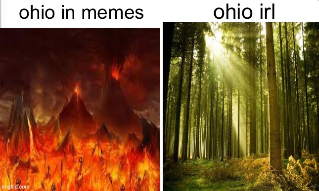 true | ohio irl; ohio in memes | image tagged in white background | made w/ Imgflip meme maker