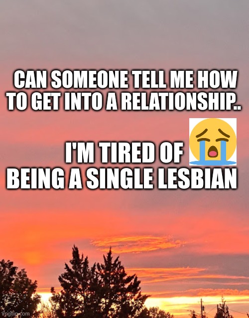 how.. |  CAN SOMEONE TELL ME HOW TO GET INTO A RELATIONSHIP.. I'M TIRED OF BEING A SINGLE LESBIAN | image tagged in lesbian | made w/ Imgflip meme maker