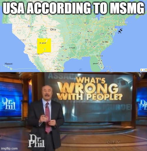 also someone said to color new mexico yellow so thats why | USA ACCORDING TO MSMG | image tagged in dr phil what's wrong with people | made w/ Imgflip meme maker
