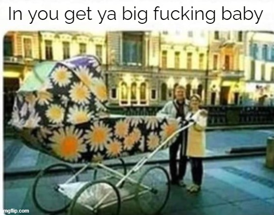 In you get ya big fucking baby | image tagged in in you get ya big fucking baby | made w/ Imgflip meme maker