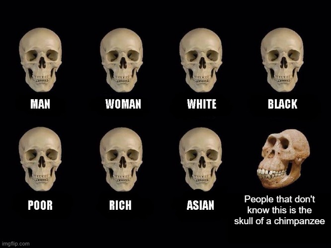 empty skulls of truth | People that don't know this is the skull of a chimpanzee | image tagged in empty skulls of truth | made w/ Imgflip meme maker