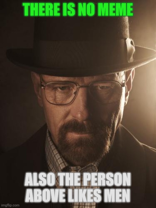 Walter White | THERE IS NO MEME; ALSO THE PERSON ABOVE LIKES MEN | image tagged in walter white | made w/ Imgflip meme maker