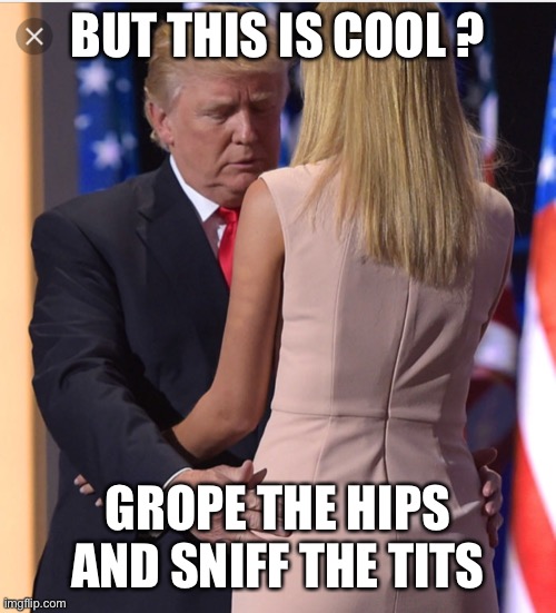 Trump & Ivanka | BUT THIS IS COOL ? GROPE THE HIPS AND SNIFF THE TITS | image tagged in trump ivanka | made w/ Imgflip meme maker